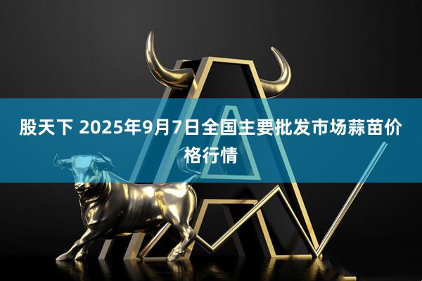 股天下 2025年9月7日全国主要批发市场蒜苗价格行情