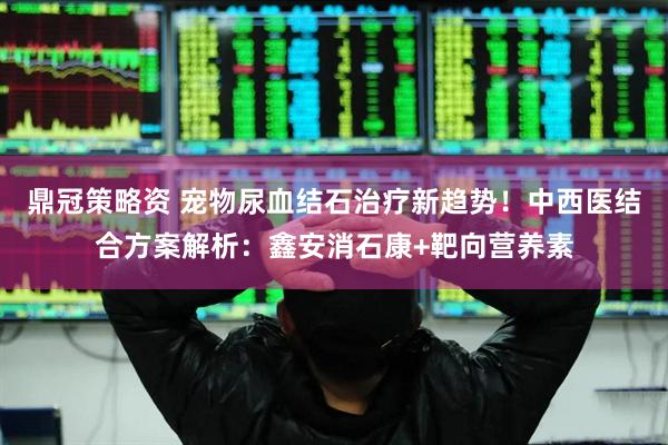 鼎冠策略资 宠物尿血结石治疗新趋势！中西医结合方案解析：鑫安消石康+靶向营养素