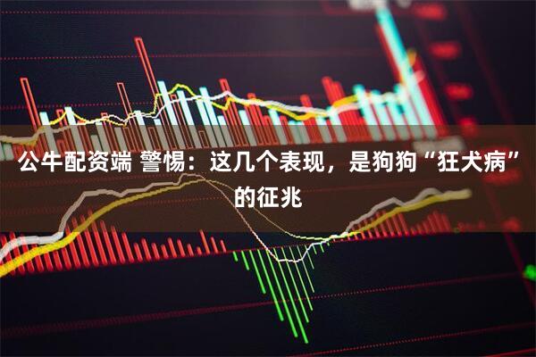 公牛配资端 警惕：这几个表现，是狗狗“狂犬病”的征兆