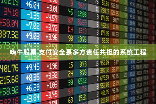嗨牛股票 支付安全是多方责任共担的系统工程