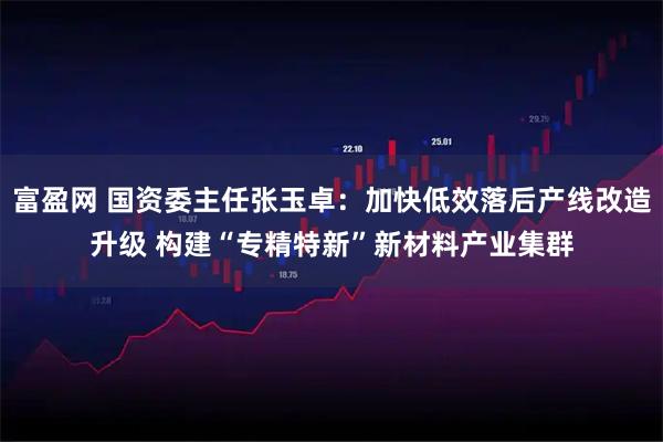 富盈网 国资委主任张玉卓：加快低效落后产线改造升级 构建“专精特新”新材料产业集群