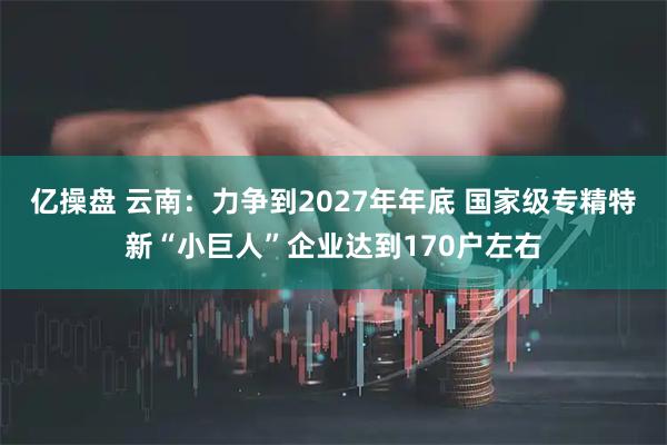亿操盘 云南：力争到2027年年底 国家级专精特新“小巨人”企业达到170户左右