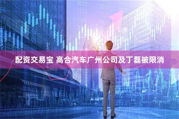 配资交易宝 高合汽车广州公司及丁磊被限消