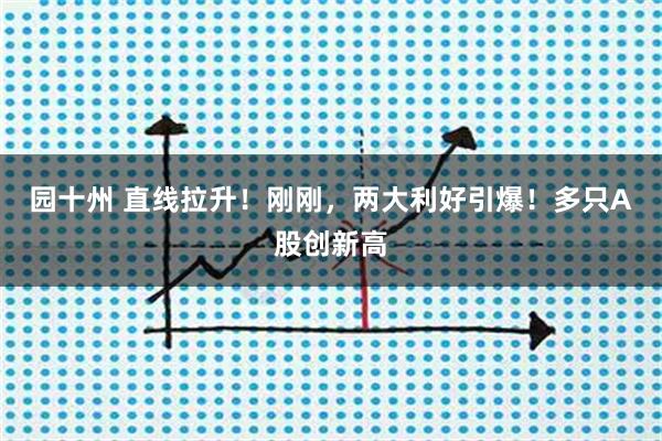 园十州 直线拉升！刚刚，两大利好引爆！多只A股创新高