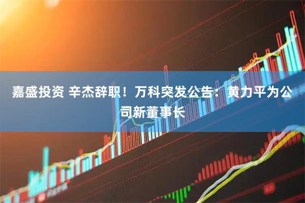 嘉盛投资 辛杰辞职!万科突发公告:黄力平为公司新董事长