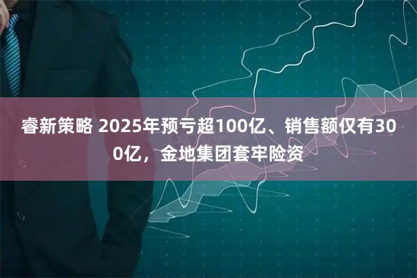 睿新策略 2025年预亏超100亿、销售额仅有300亿,金地集团套牢险资