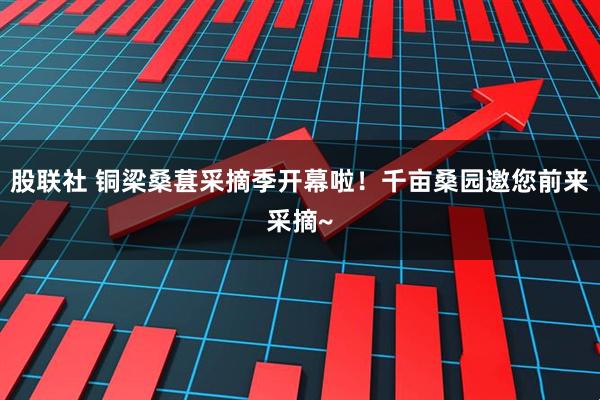 股联社 铜梁桑葚采摘季开幕啦!千亩桑园邀您前来采摘~